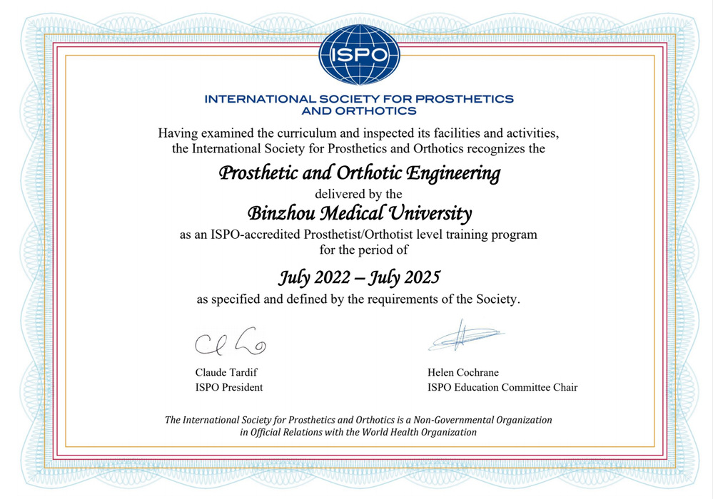 Prosthetic and Orthotic Engineering of BMU Passes International